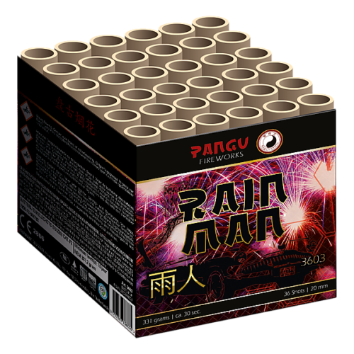 3603 Pangu Rain Man